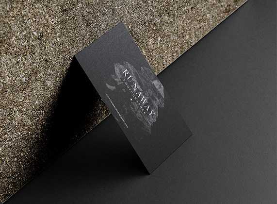 Project Preview